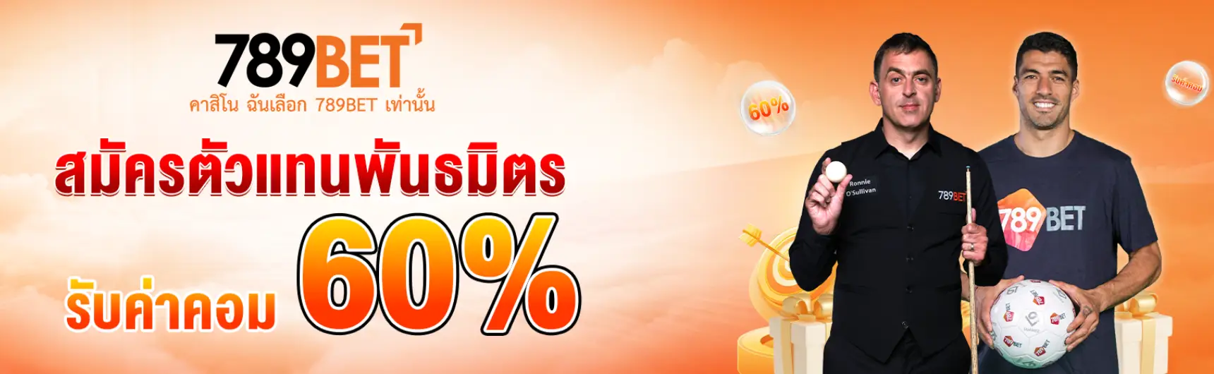 สมัครเป็นตัวแทนพันธมิตร